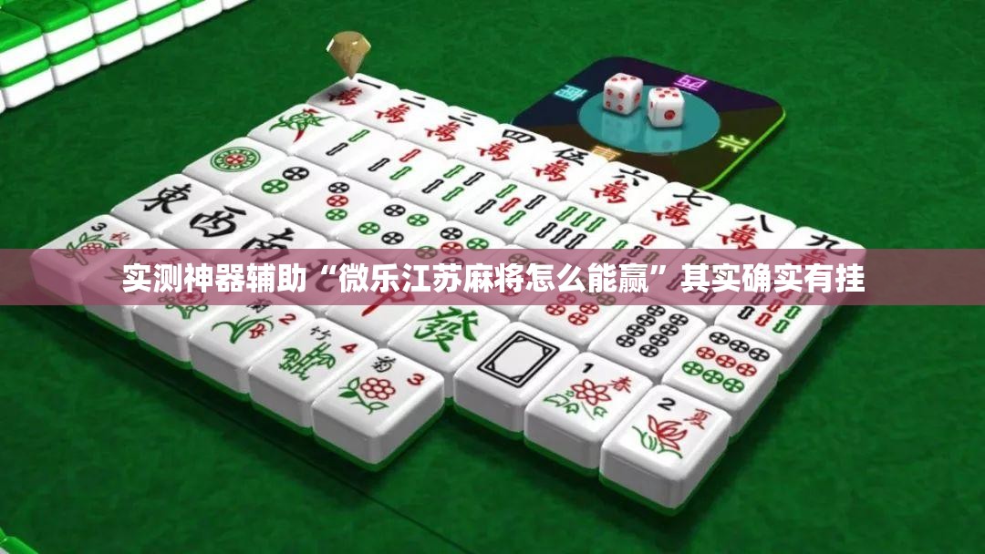 实测神器辅助“微乐江苏麻将怎么能赢”其实确实有挂