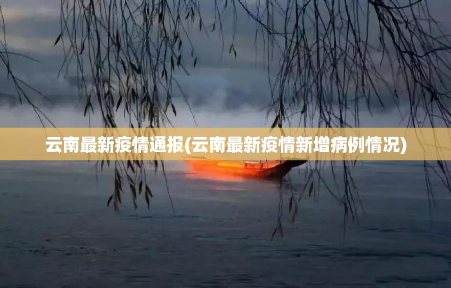 云南最新疫情通报(云南最新疫情新增病例情况)