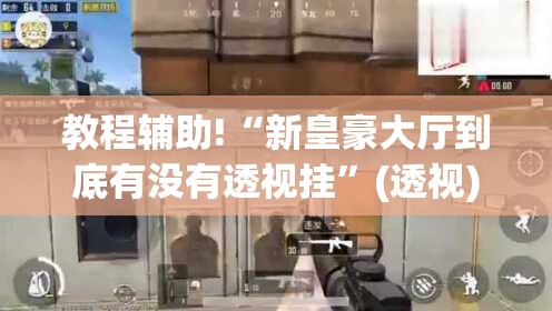 教程辅助!“新皇豪大厅到底有没有透视挂”(透视)其实确实有挂