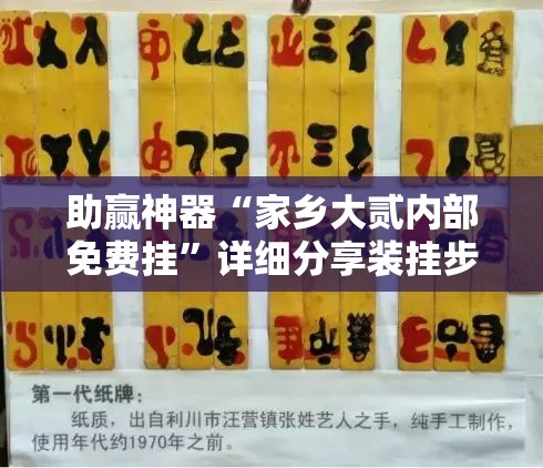 助赢神器“家乡大贰内部免费挂”详细分享装挂步骤
