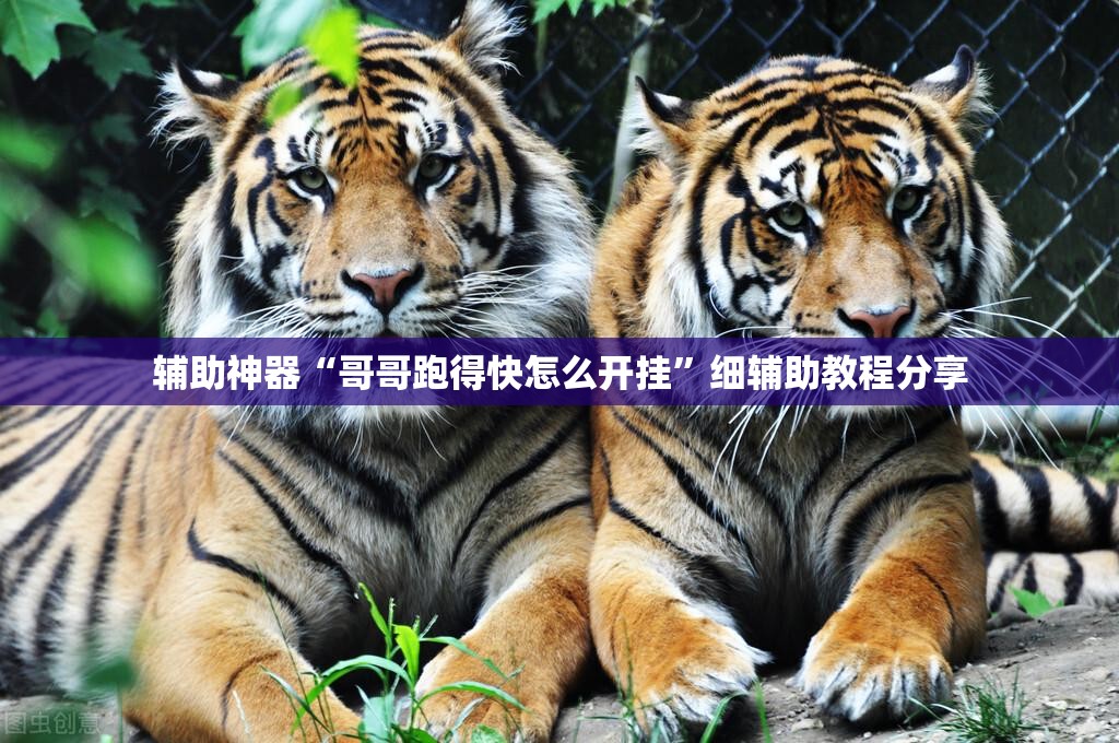 辅助神器“哥哥跑得快怎么开挂”细辅助教程分享