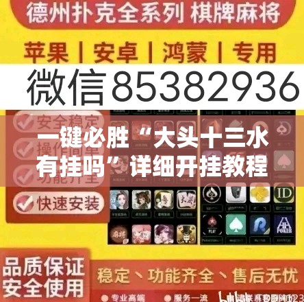 一键必胜“大头十三水有挂吗”详细开挂教程