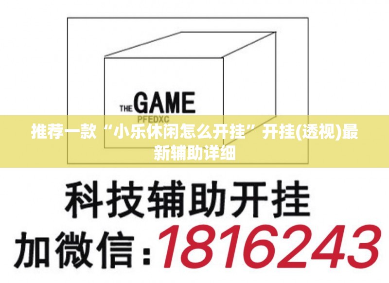 推荐一款“小乐休闲怎么开挂”开挂(透视)最新辅助详细
