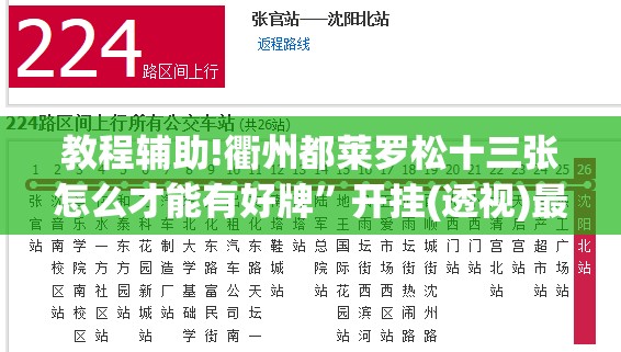 教程辅助!衢州都莱罗松十三张怎么才能有好牌”开挂(透视)最新辅助详细