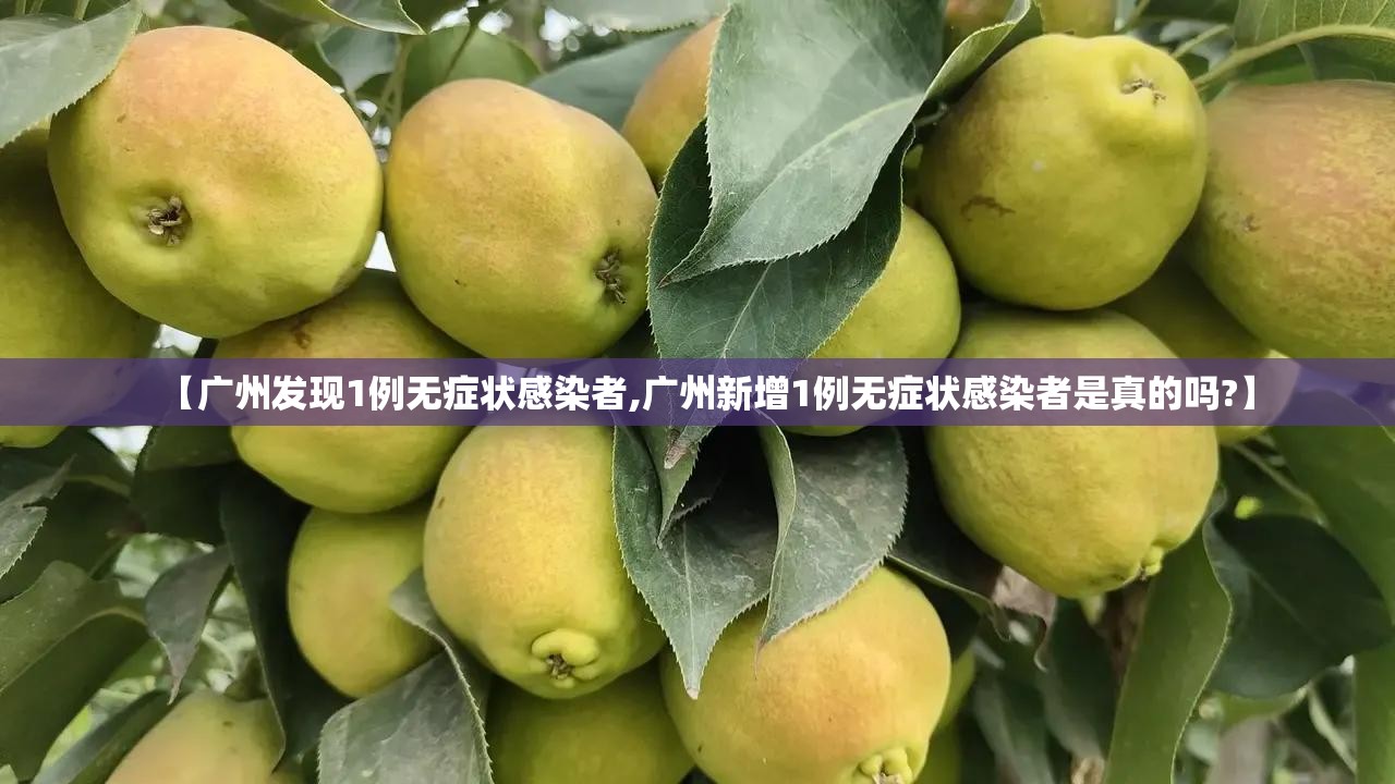 【广州发现1例无症状感染者,广州新增1例无症状感染者是真的吗?】 【广州发现1例无症状感染者,广州新增1例无症状感染者是真的吗?】