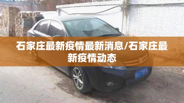 石家庄最新疫情最新消息/石家庄最新疫情动态 石家庄最新疫情最新消息/石家庄最新疫情动态