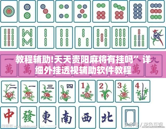 教程辅助!天天贵阳麻将有挂吗”详细外挂透视辅助软件教程