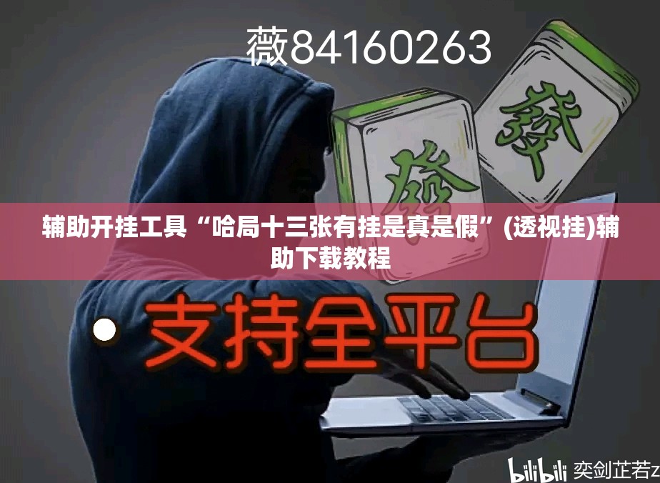 辅助开挂工具“哈局十三张有挂是真是假”(透视挂)辅助下载教程