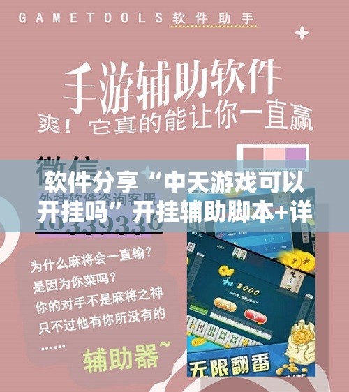 软件分享“中天游戏可以开挂吗”开挂辅助脚本+详细开挂安装教程