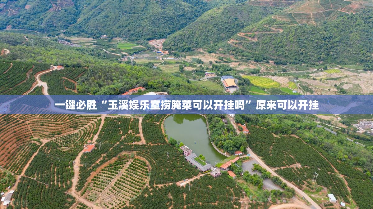 一键必胜“玉溪娱乐室捞腌菜可以开挂吗”原来可以开挂