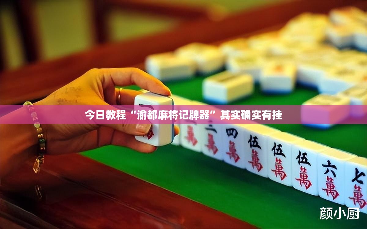 今日教程“渝都麻将记牌器”其实确实有挂