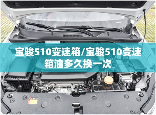 宝骏510变速箱/宝骏510变速箱油多久换一次 宝骏510变速箱/宝骏510变速箱油多久换一次
