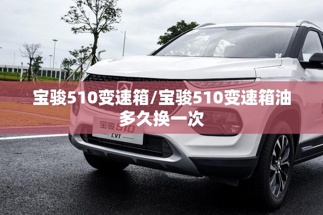 宝骏510变速箱/宝骏510变速箱油多久换一次 宝骏510变速箱/宝骏510变速箱油多久换一次