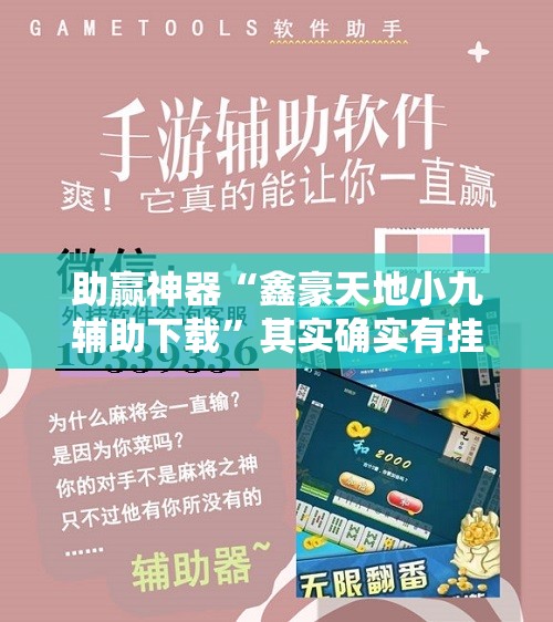 助赢神器“鑫豪天地小九辅助下载”其实确实有挂