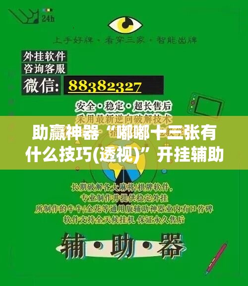 助赢神器“嘟嘟十三张有什么技巧(透视)”开挂辅助脚本+详细开挂安装教程