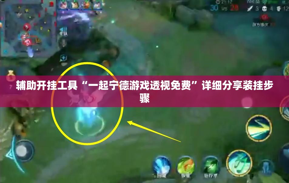 辅助开挂工具“一起宁德游戏透视免费”详细分享装挂步骤