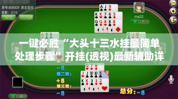 一键必胜“大头十三水挂最简单处理步骤”开挂(透视)最新辅助详细