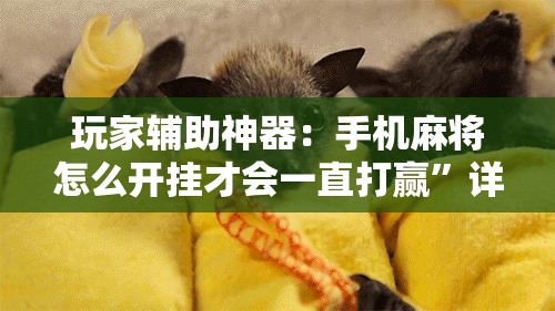 玩家辅助神器：手机麻将怎么开挂才会一直打赢”详细分享装挂步骤