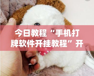 今日教程“手机打牌软件开挂教程”开挂(透视)最新辅助详细
