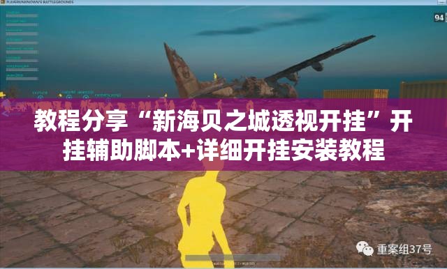教程分享“新海贝之城透视开挂”开挂辅助脚本+详细开挂安装教程
