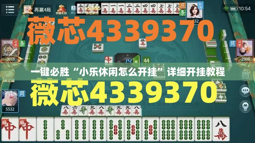 一键必胜“小乐休闲怎么开挂”详细开挂教程