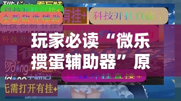 玩家必读“微乐掼蛋辅助器”原来可以开挂