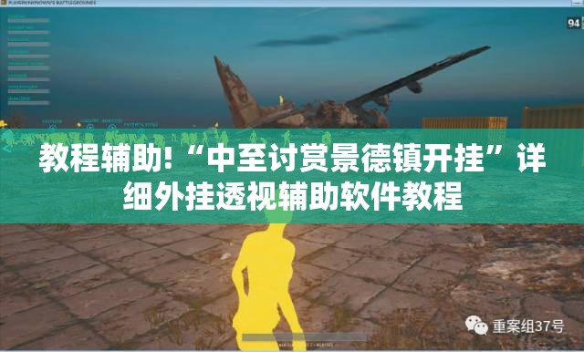 教程辅助!“中至讨赏景德镇开挂”详细外挂透视辅助软件教程
