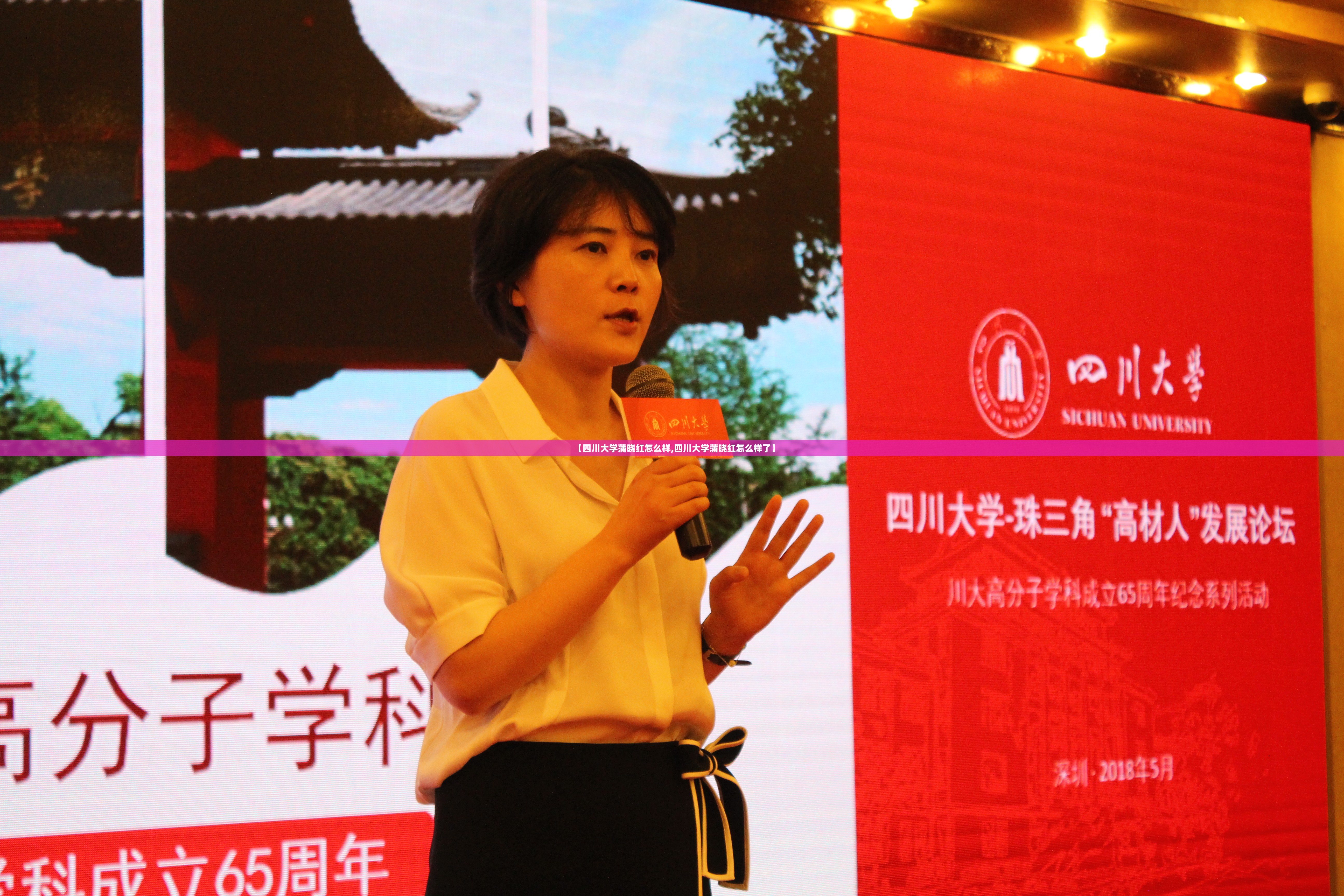 【四川大学蒲晓红怎么样,四川大学蒲晓红怎么样了】