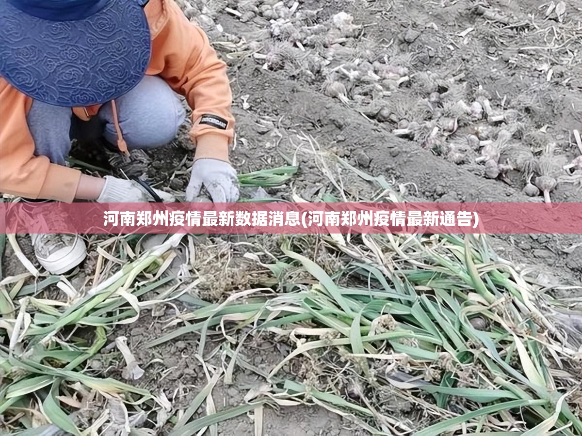 河南郑州疫情最新数据消息(河南郑州疫情最新通告) 河南郑州疫情最新数据消息(河南郑州疫情最新通告)