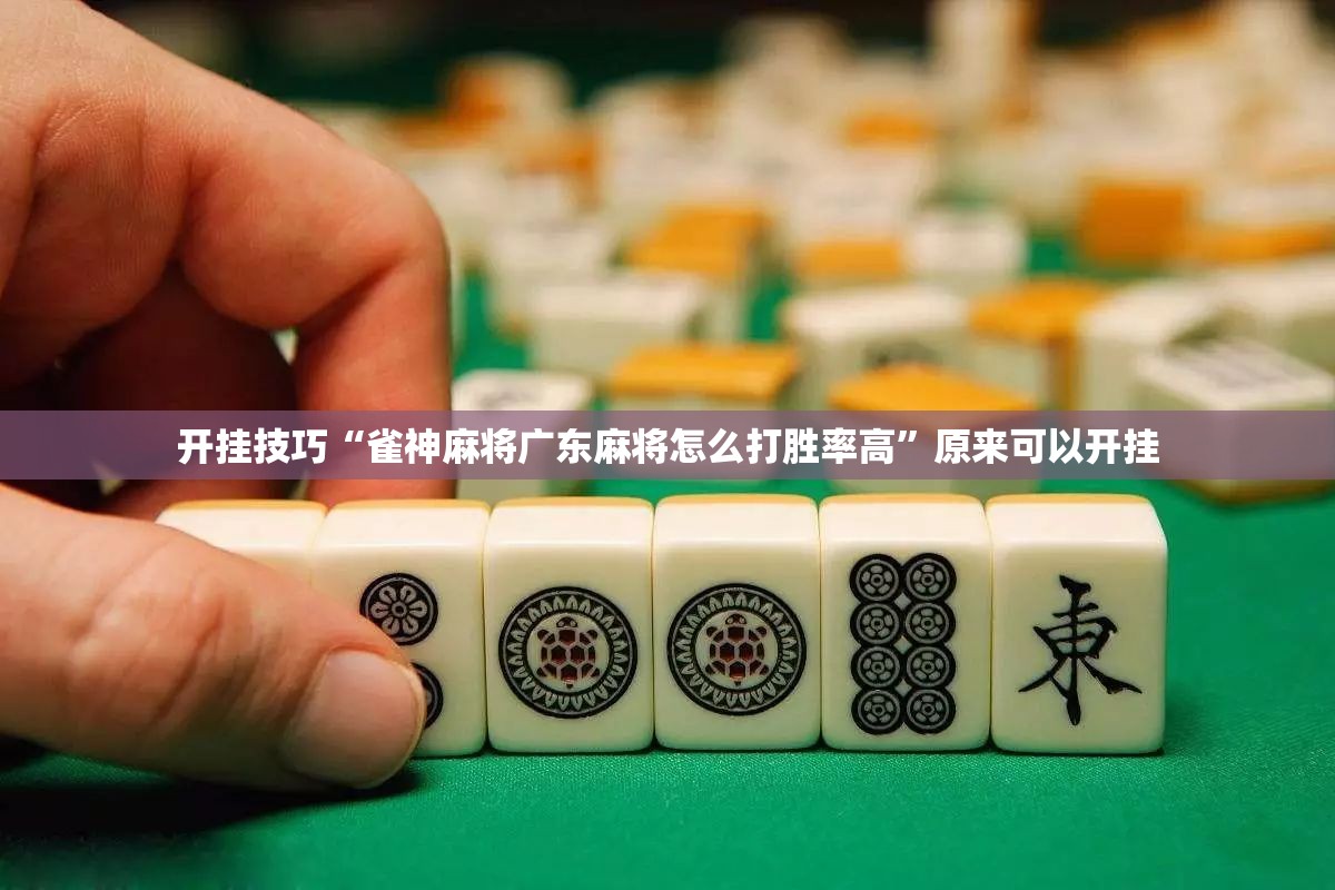 开挂技巧“雀神麻将广东麻将怎么打胜率高”原来可以开挂