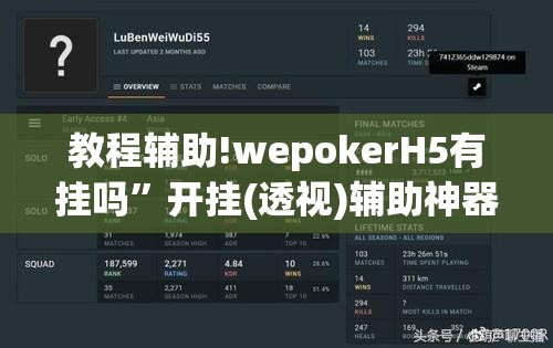 教程辅助!wepokerH5有挂吗”开挂(透视)辅助神器