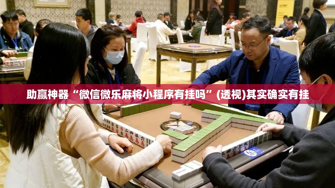 助赢神器“微信微乐麻将小程序有挂吗”(透视)其实确实有挂