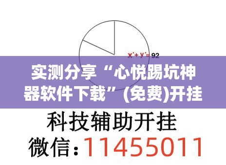 实测分享“心悦踢坑神器软件下载”(免费)开挂辅助教学(最新辅助开挂教程)