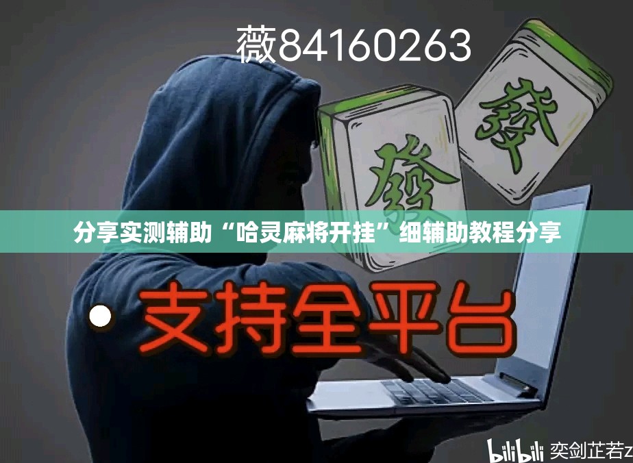 分享实测辅助“哈灵麻将开挂”细辅助教程分享