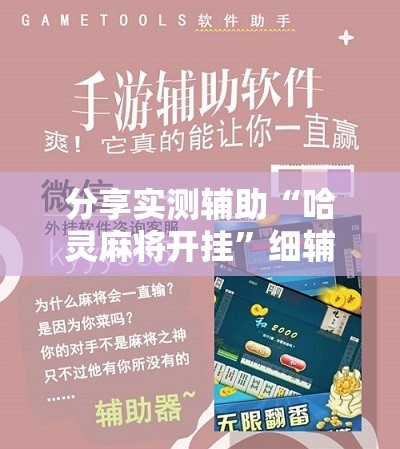 分享实测辅助“哈灵麻将开挂”细辅助教程分享