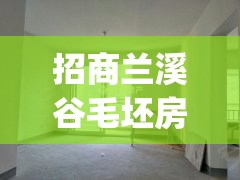 招商兰溪谷毛坯房图片(招商兰溪谷三期公寓楼) 招商兰溪谷毛坯房图片(招商兰溪谷三期公寓楼)