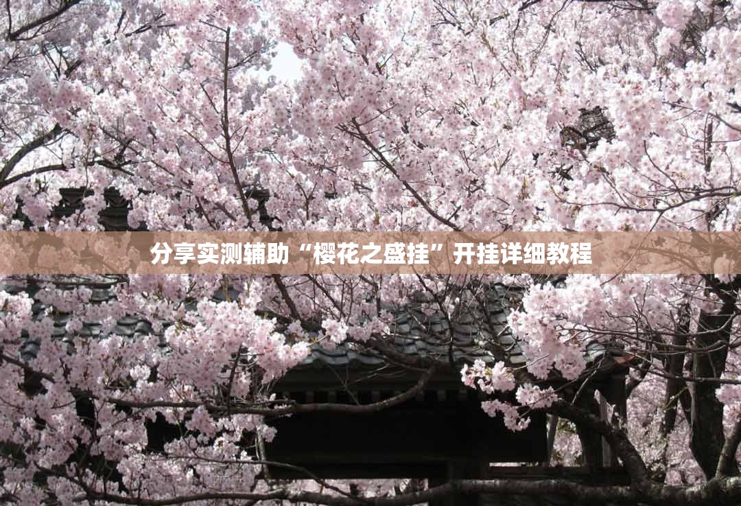 分享实测辅助“樱花之盛挂”开挂详细教程