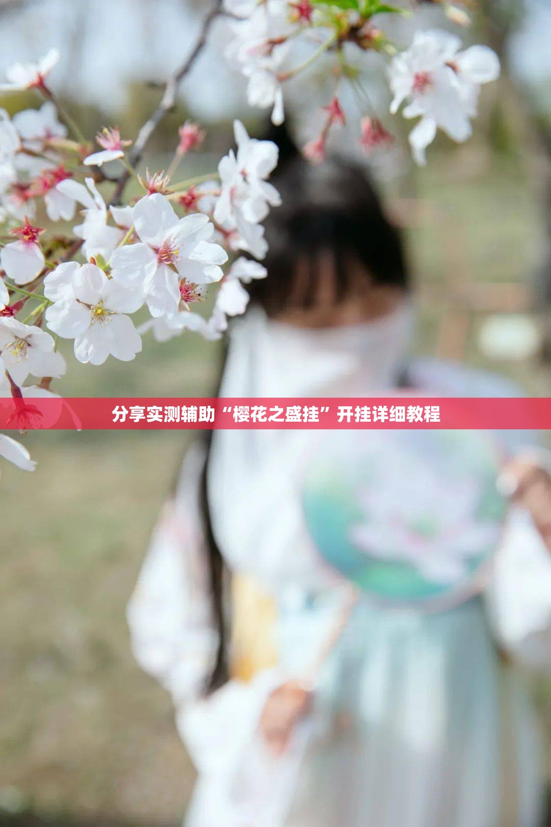 分享实测辅助“樱花之盛挂	”开挂详细教程