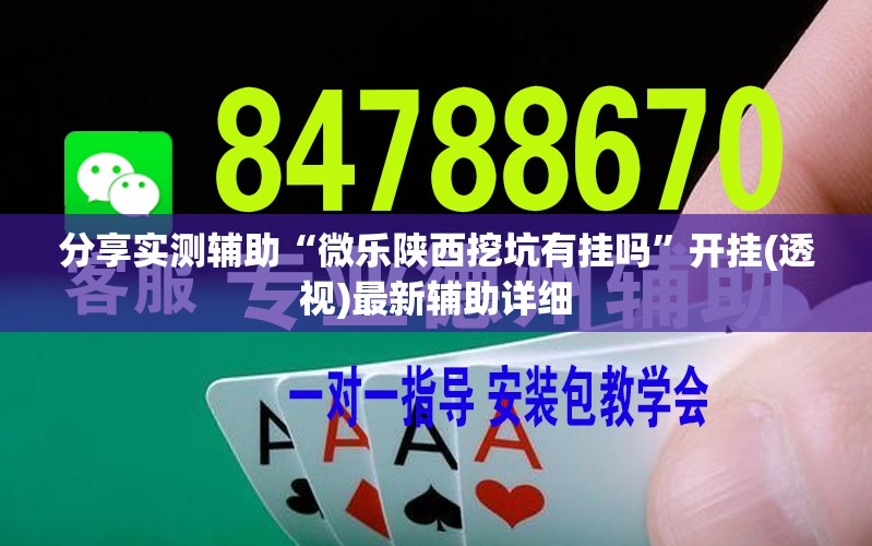 分享实测辅助“微乐陕西挖坑有挂吗”开挂(透视)最新辅助详细