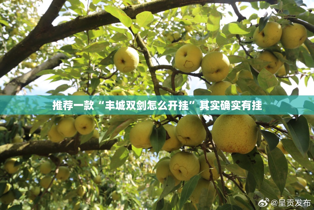 推荐一款“丰城双剑怎么开挂	”其实确实有挂