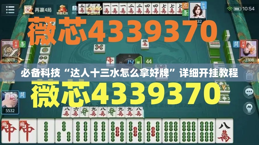 必备科技“达人十三水怎么拿好牌”详细开挂教程
