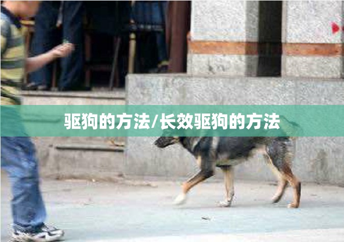 驱狗的方法/长效驱狗的方法 驱狗的方法/长效驱狗的方法