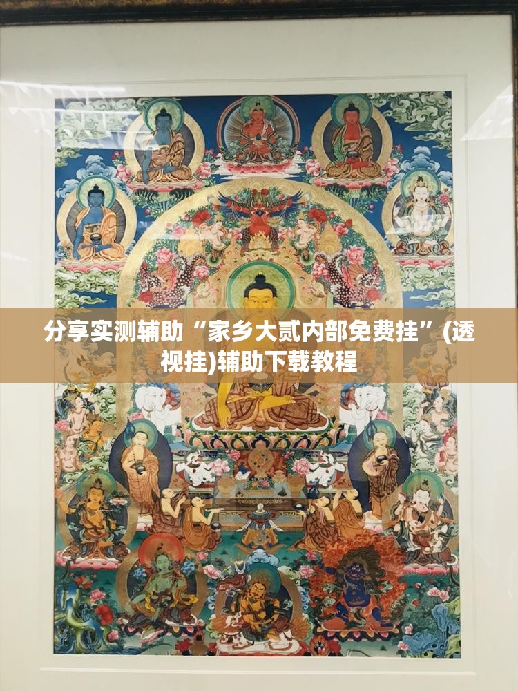 分享实测辅助“家乡大贰内部免费挂”(透视挂)辅助下载教程