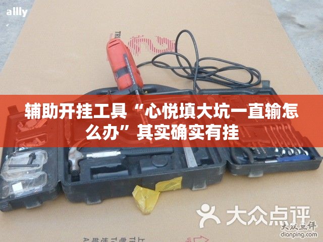 辅助开挂工具“心悦填大坑一直输怎么办”其实确实有挂