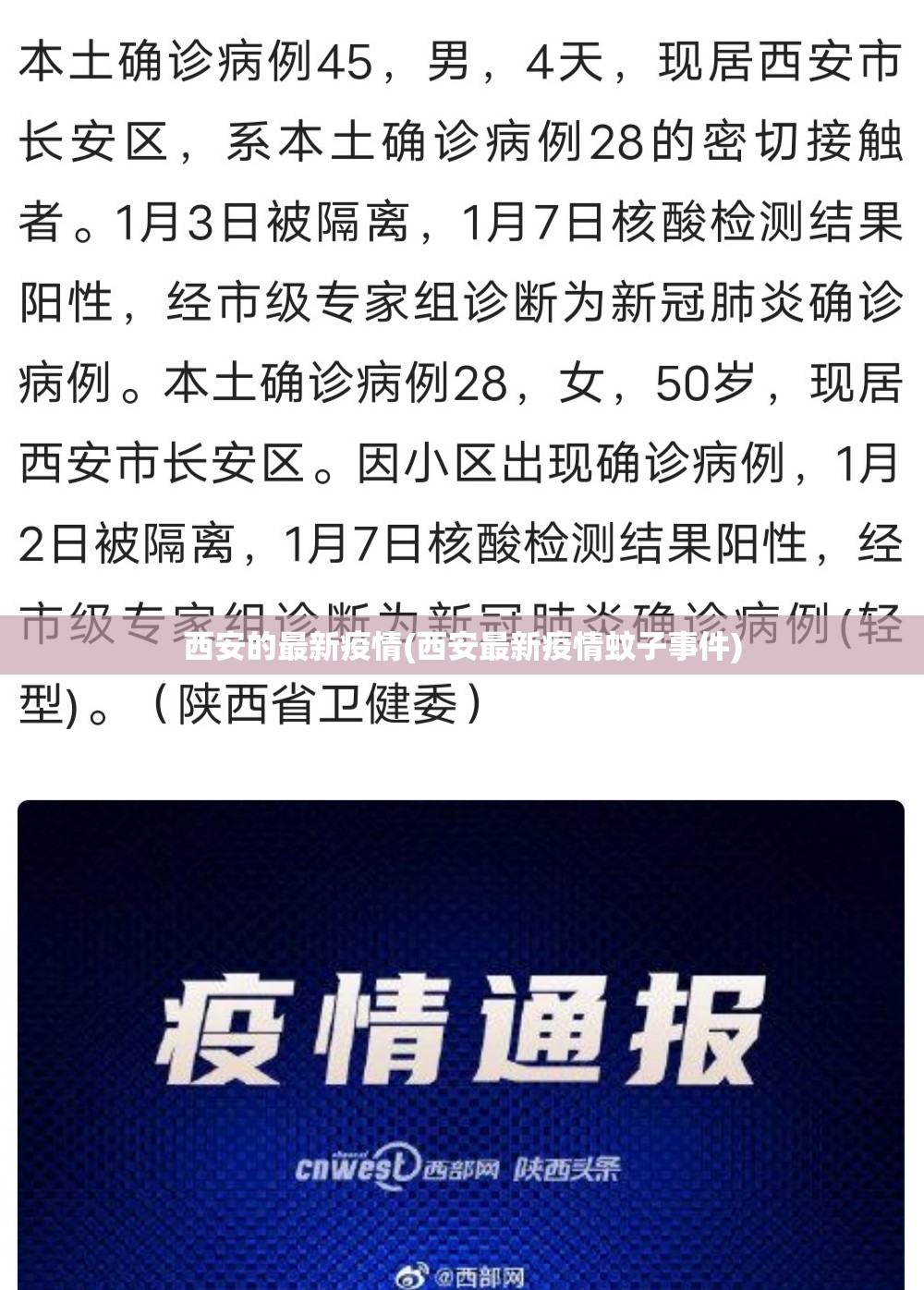 西安的最新疫情(西安最新疫情蚊子事件) 西安的最新疫情(西安最新疫情蚊子事件)