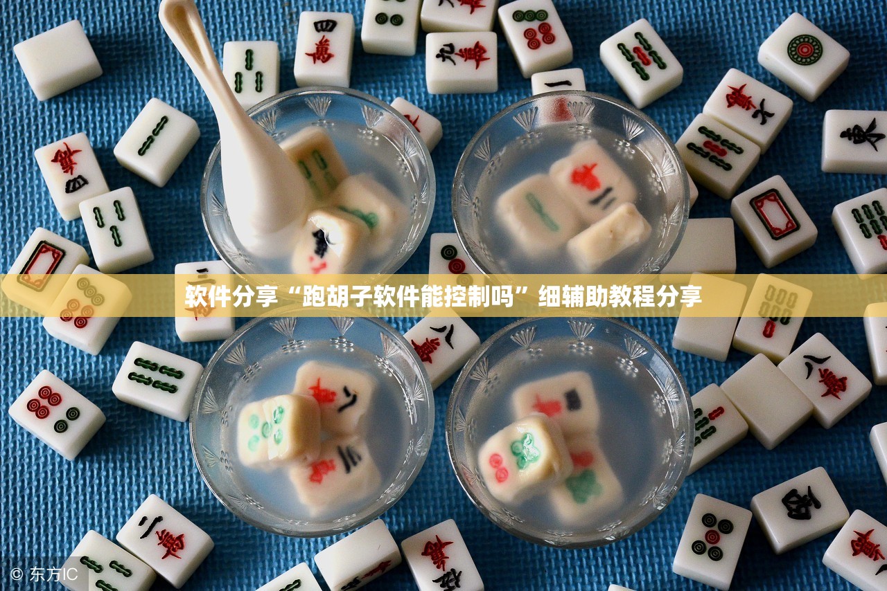 软件分享“跑胡子软件能控制吗”细辅助教程分享