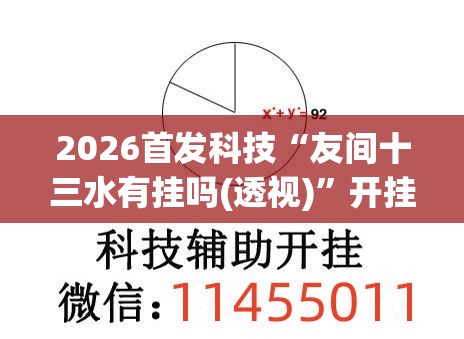 2026首发科技“友间十三水有挂吗(透视)”开挂辅助脚本+详细开挂安装教程