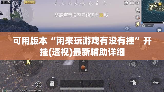 可用版本“闲来玩游戏有没有挂”开挂(透视)最新辅助详细