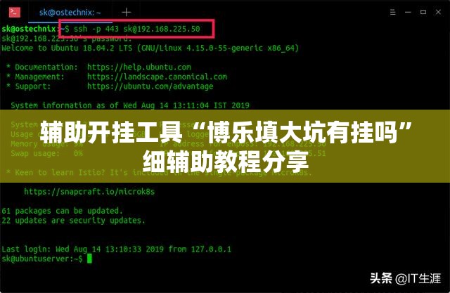 辅助开挂工具“博乐填大坑有挂吗”细辅助教程分享