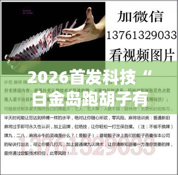 2026首发科技“白金岛跑胡子有挂吗”(辅助神器)开挂详细教程